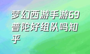 梦幻西游手游69普陀好组队吗知乎（梦幻西游手游69化生和普陀哪个好）