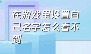 在游戏里设置自己名字怎么看不到