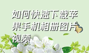 如何快速下载苹果手机相册图片视频（苹果手机相册怎么提取视频照片）