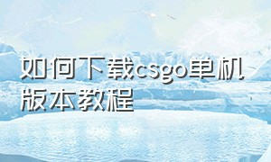 如何下载csgo单机版本教程（csgo下载的全部教程）