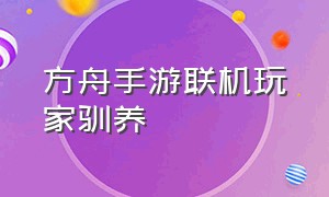 方舟手游联机玩家驯养