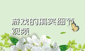 游戏的搞笑细节视频