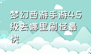 梦幻西游手游45级去哪里刷怪最快（梦幻西游手游47级去哪里升级最快）