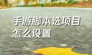 手游脚本选项目怎么设置