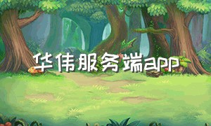 华伟服务端app（华伟通讯app）