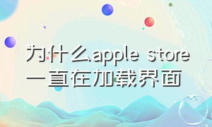 为什么apple store一直在加载界面