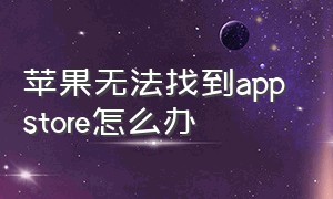 苹果无法找到app store怎么办