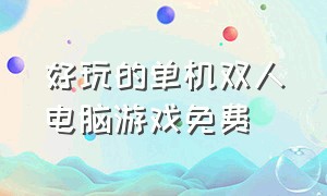 好玩的单机双人电脑游戏免费