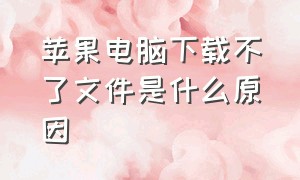 苹果电脑下载不了文件是什么原因（苹果电脑系统下载不了软件怎么办）