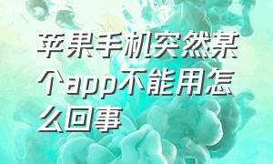 苹果手机突然某个app不能用怎么回事