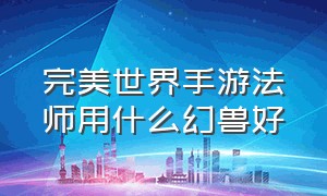 完美世界手游法师用什么幻兽好