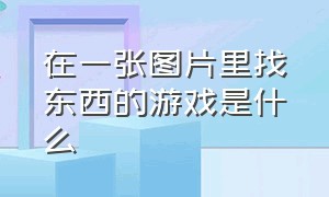 在一张图片里找东西的游戏是什么