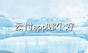 云付app哪个好（云付是什么平台）