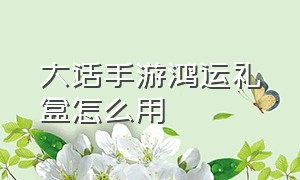 大话手游鸿运礼盒怎么用（大话手游怎么获得银子比较划算）