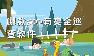 哪款app有安全巡查软件