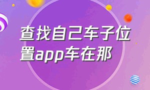 查找自己车子位置app车在那