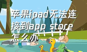 苹果ipad无法连接到app store怎么办