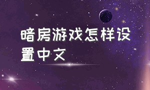 暗房游戏怎样设置中文（暗房游戏怎样设置中文字幕）