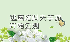 逃离塔科夫手游开始公测（逃离塔科夫什么时候上线手游版）