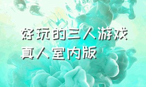 好玩的三人游戏真人室内版