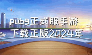 pubg正式服手游下载正版2024年