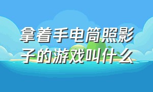 拿着手电筒照影子的游戏叫什么