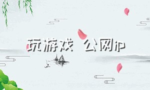 玩游戏 公网ip