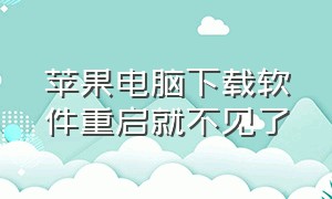 苹果电脑下载软件重启就不见了