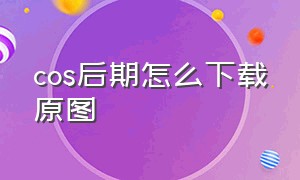 cos后期怎么下载原图