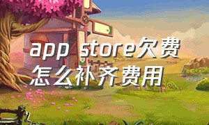 app store欠费怎么补齐费用