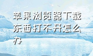 苹果浏览器下载东西打不开怎么办