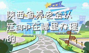 陕西省养老金认证app在哪里办理的