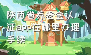 陕西省养老金认证app在哪里办理手续