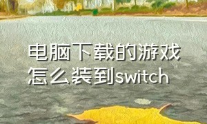 电脑下载的游戏怎么装到switch