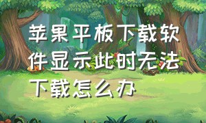 苹果平板下载软件显示此时无法下载怎么办（苹果平板不能下载app怎么解决）