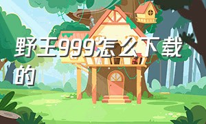 野王999怎么下载的