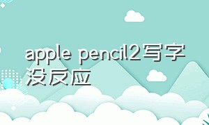 apple pencil2写字没反应