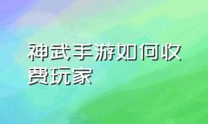 神武手游如何收费玩家