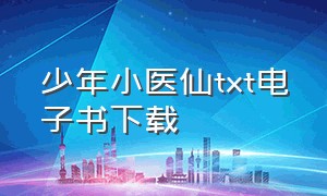 少年小医仙txt电子书下载