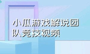 小瓜游戏解说团队竞技视频（小瓜玩游戏视频）