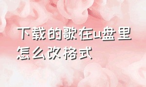 下载的歌在u盘里怎么改格式