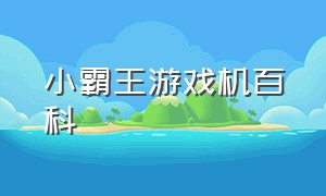 小霸王游戏机百科（小霸王游戏机的中文编号）