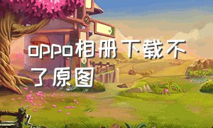 oppo相册下载不了原图