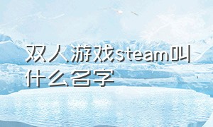 双人游戏steam叫什么名字（steam有什么免费双人游戏吗）