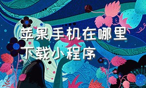 苹果手机在哪里下载小程序