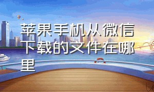 苹果手机从微信下载的文件在哪里