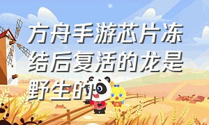 方舟手游芯片冻结后复活的龙是野生的（方舟手游怎么解冻芯片）