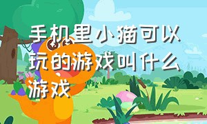 手机里小猫可以玩的游戏叫什么游戏（适合小猫玩的触屏手机游戏）