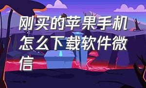 刚买的苹果手机怎么下载软件微信