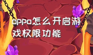 oppo怎么开启游戏权限功能（oppo怎么开启存储权限）